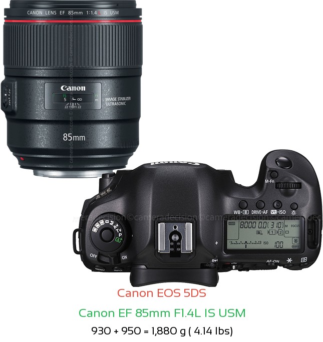 Canon 5DS with Canon EF 85mm F1.4L IS USM Lens Size