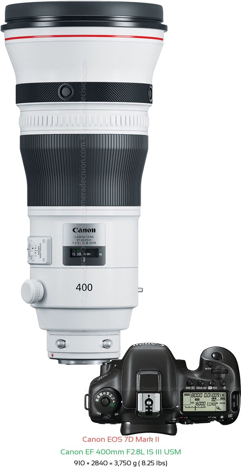 Canon 7D MII with Canon EF 400mm F2.8L IS III USM Lens Size