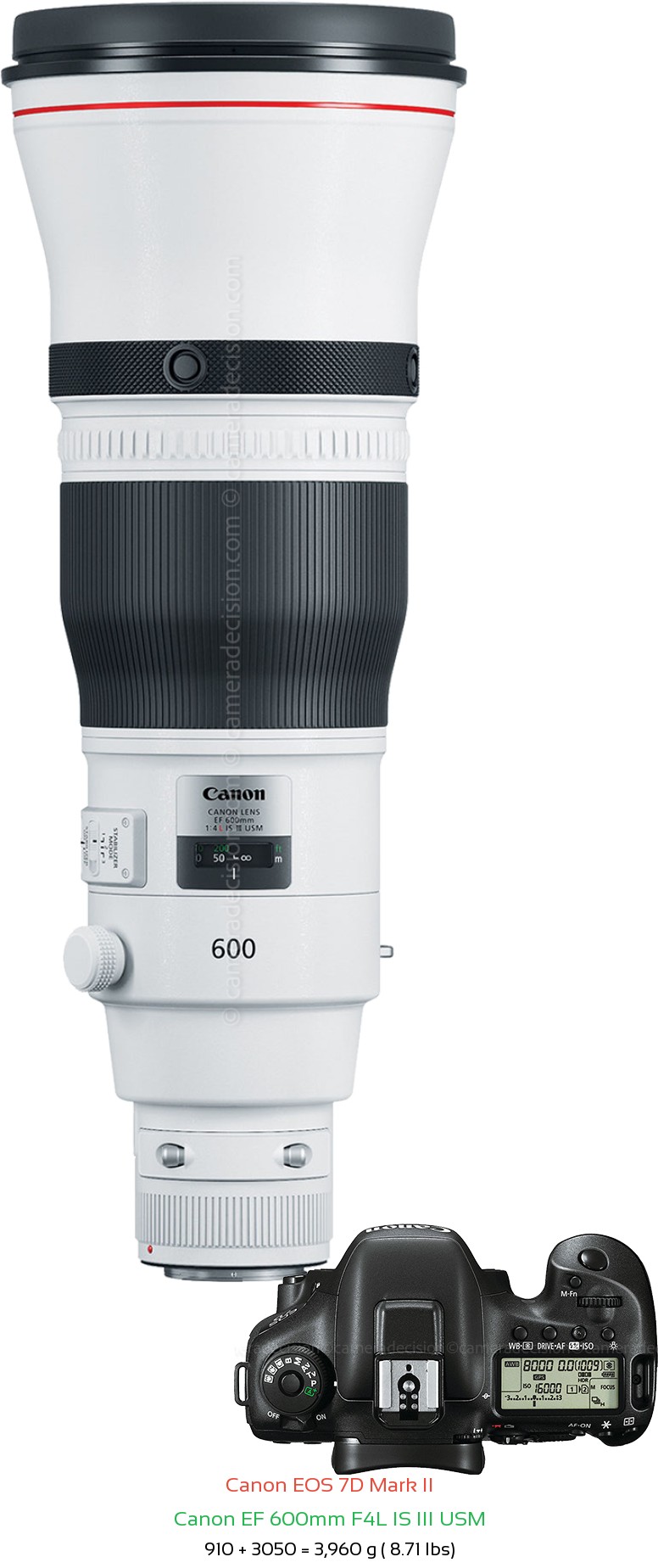 Canon 7D MII with Canon EF 600mm F4L IS III USM Lens Size