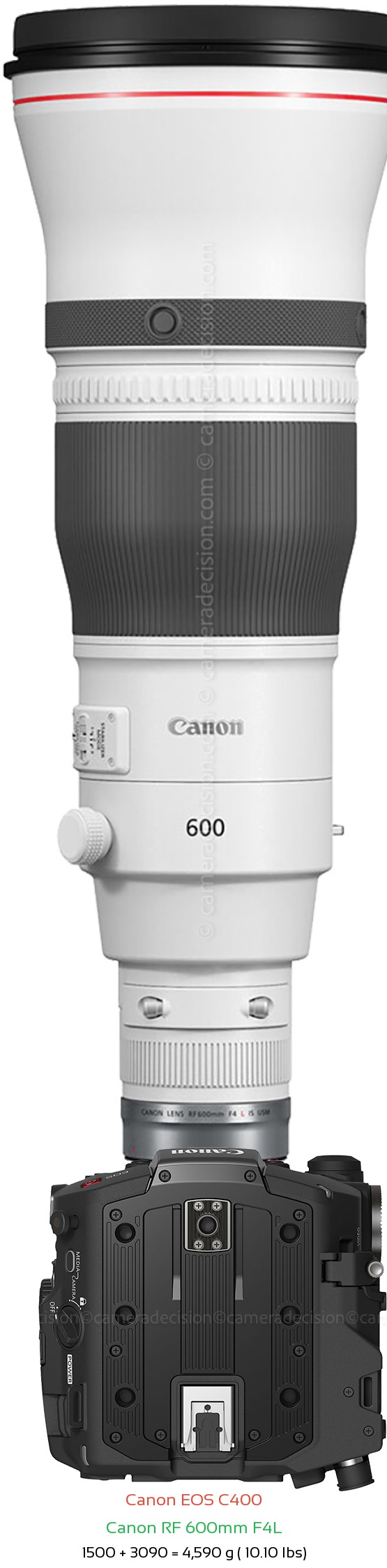 Canon EOS C400 with Canon RF 600mm F4L Lens Size