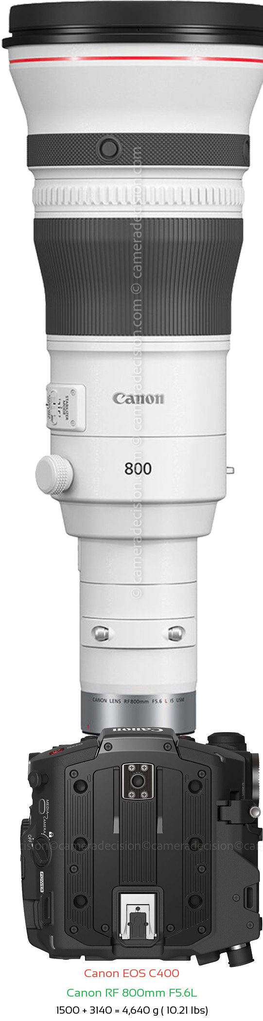 Canon EOS C400 with Canon RF 800mm F5.6L Lens Size