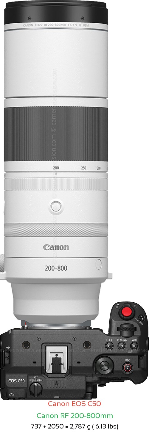 Canon C50 with Canon RF 200-800mm Lens Size