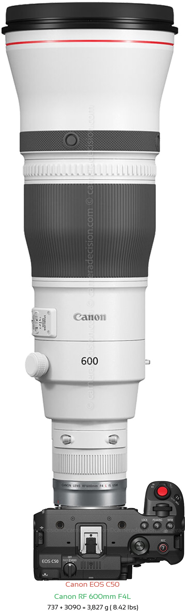Canon C50 with Canon RF 600mm F4L Lens Size