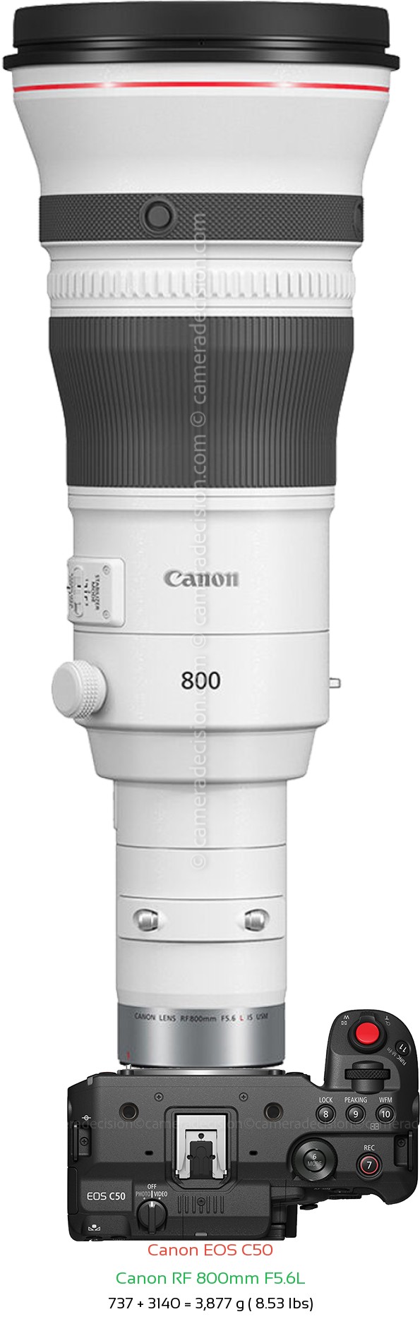 Canon C50 with Canon RF 800mm F5.6L Lens Size