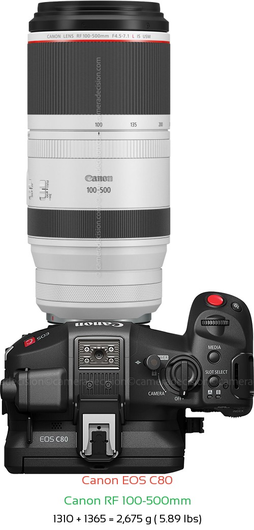 Canon EOS C80 with Canon RF 100-500mm Lens Size