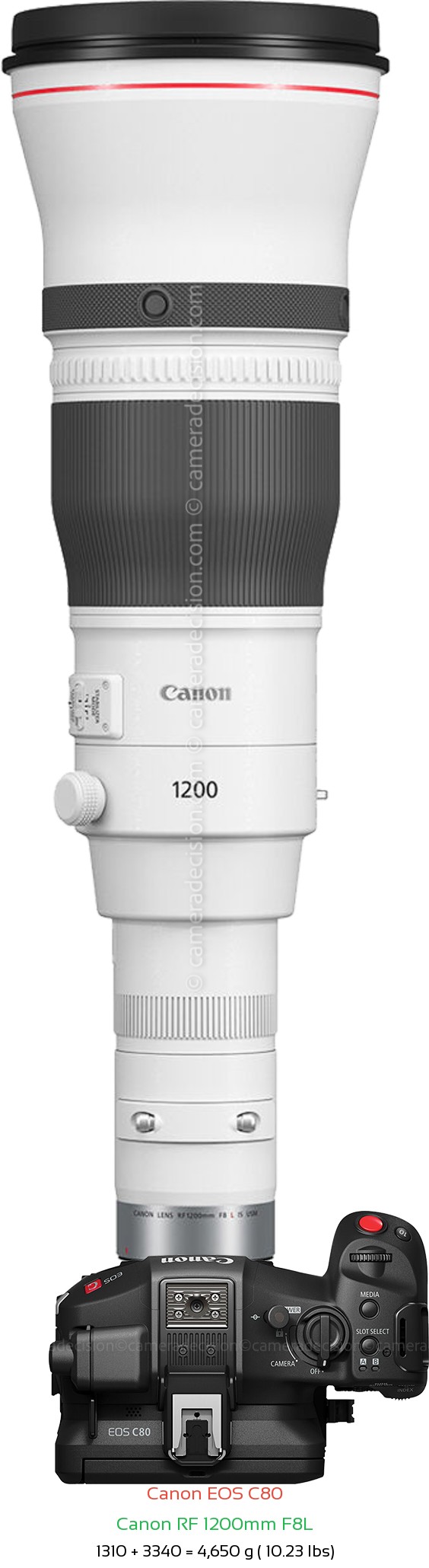 Canon EOS C80 with Canon RF 1200mm F8L Lens Size