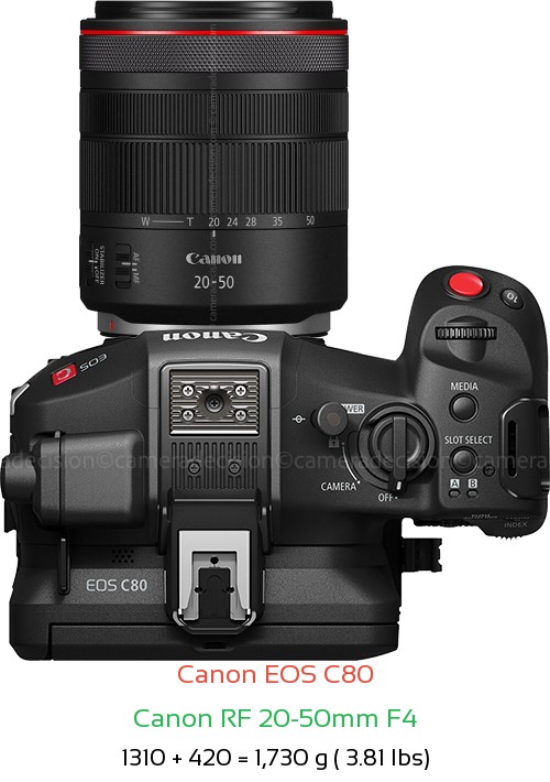 Canon EOS C80 with Canon RF 20-50mm F4 Lens Size