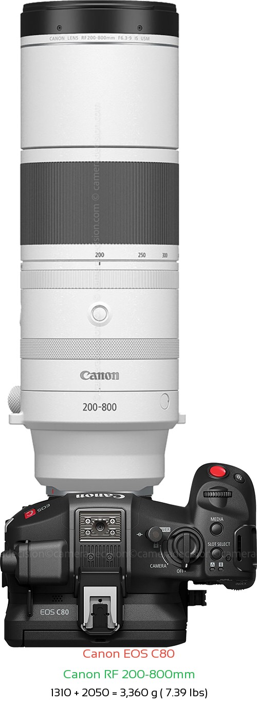 Canon EOS C80 with Canon RF 200-800mm Lens Size