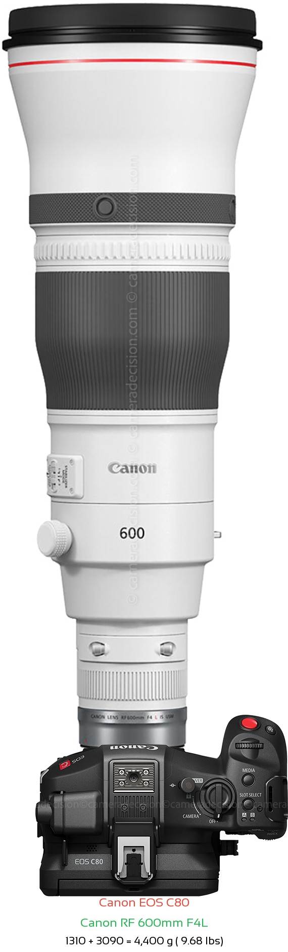 Canon EOS C80 with Canon RF 600mm F4L Lens Size