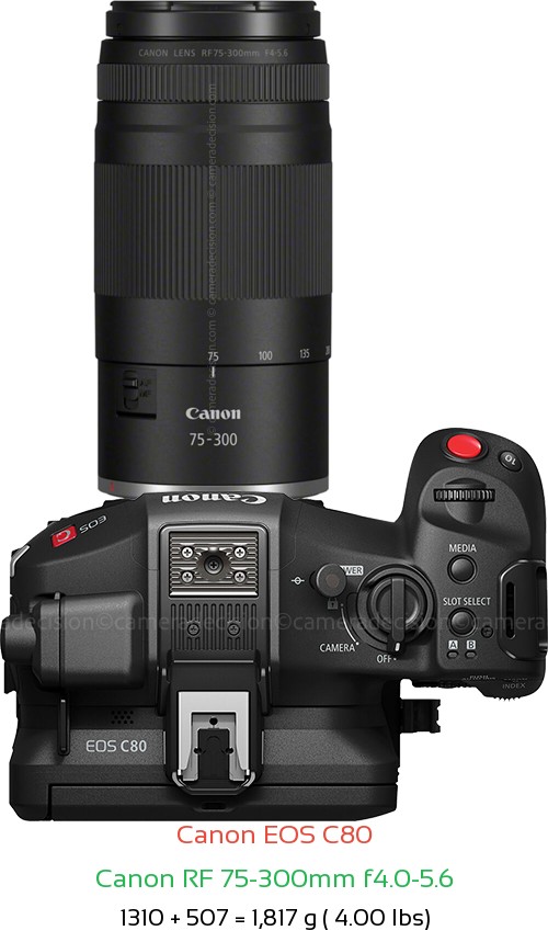 Canon EOS C80 with Canon RF 75-300mm f4.0-5.6 Lens Size