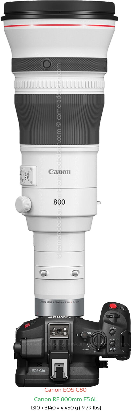 Canon EOS C80 with Canon RF 800mm F5.6L Lens Size