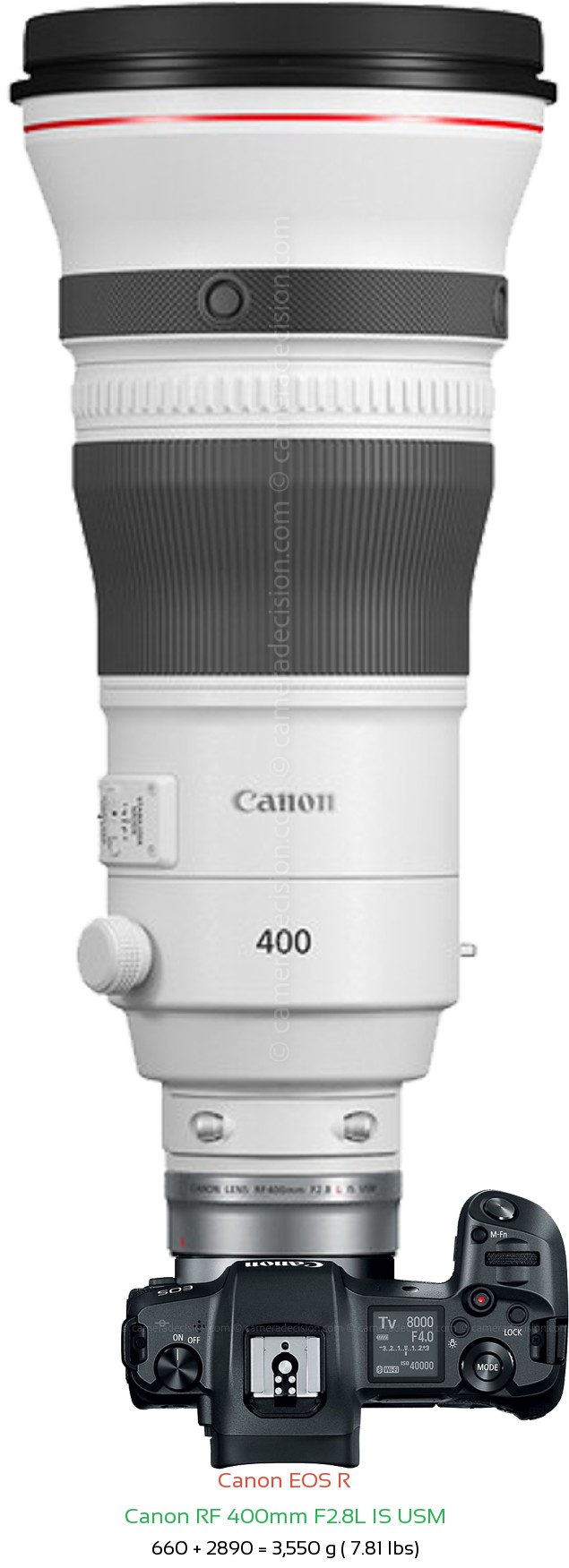 Canon R with Canon RF 400mm F2.8L Lens Size