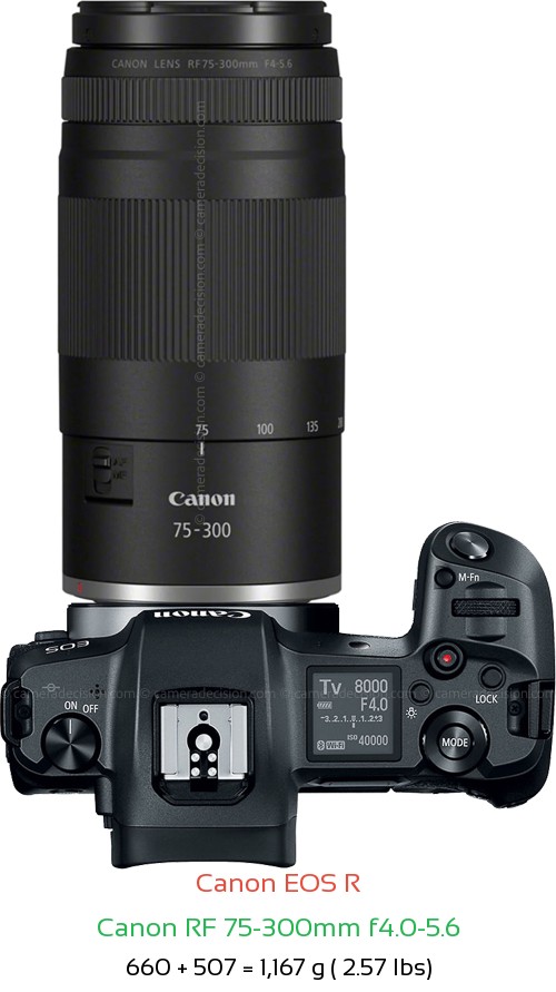 Canon R with Canon RF 75-300mm f4.0-5.6 Lens Size