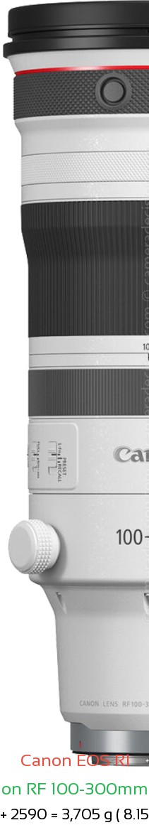 Canon R1 with Canon RF 100-300mm f2.8 Lens Size