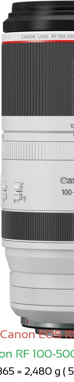 Canon R1 with Canon RF 100-500mm Lens Size