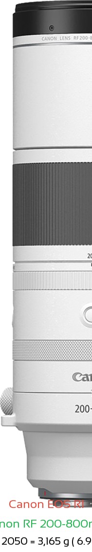 Canon R1 with Canon RF 200-800mm Lens Size
