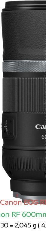Canon R1 with Canon RF 600mm F11 Lens Size