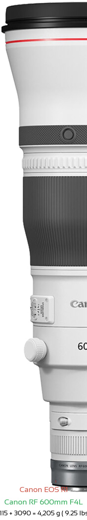 Canon R1 with Canon RF 600mm F4L Lens Size