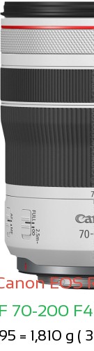 Canon R1 with Canon RF 70-200 F4L IS USM Lens Size