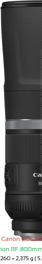 Canon R1 with Canon RF 800mm F11 Lens Size