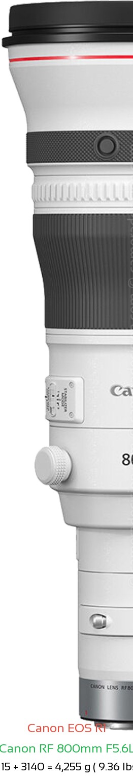Canon R1 with Canon RF 800mm F5.6L Lens Size