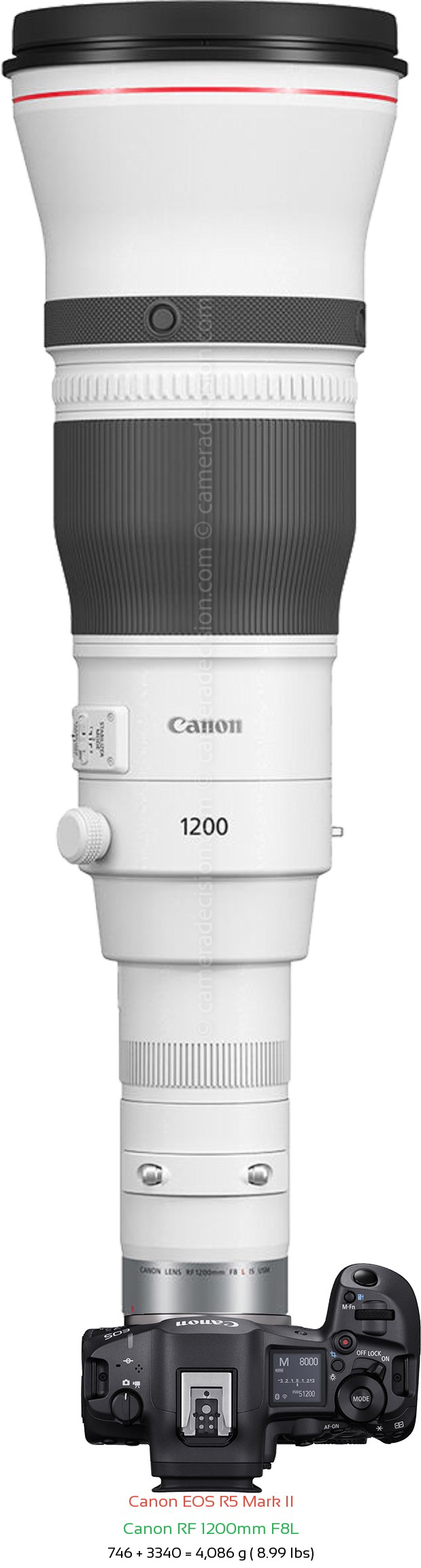 Canon R5 II with Canon RF 1200mm F8L Lens Size