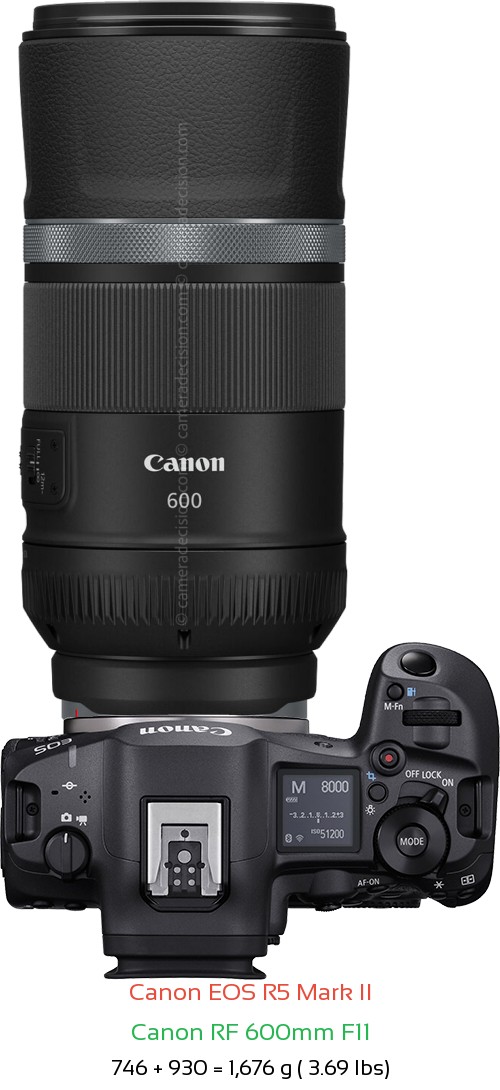 Canon R5 II with Canon RF 600mm F11 Lens Size
