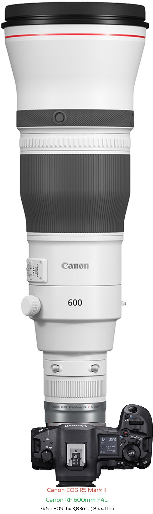 Canon R5 II with Canon RF 600mm F4L Lens Size
