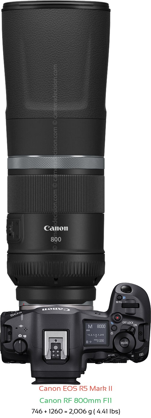 Canon R5 II with Canon RF 800mm F11 Lens Size