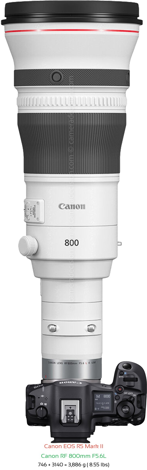 Canon R5 II with Canon RF 800mm F5.6L Lens Size