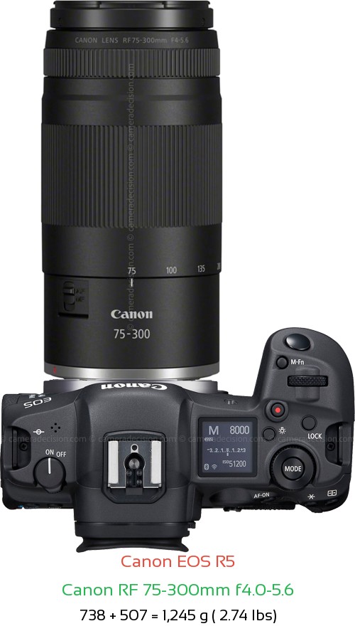 Canon R5 with Canon RF 75-300mm f4.0-5.6 Lens Size