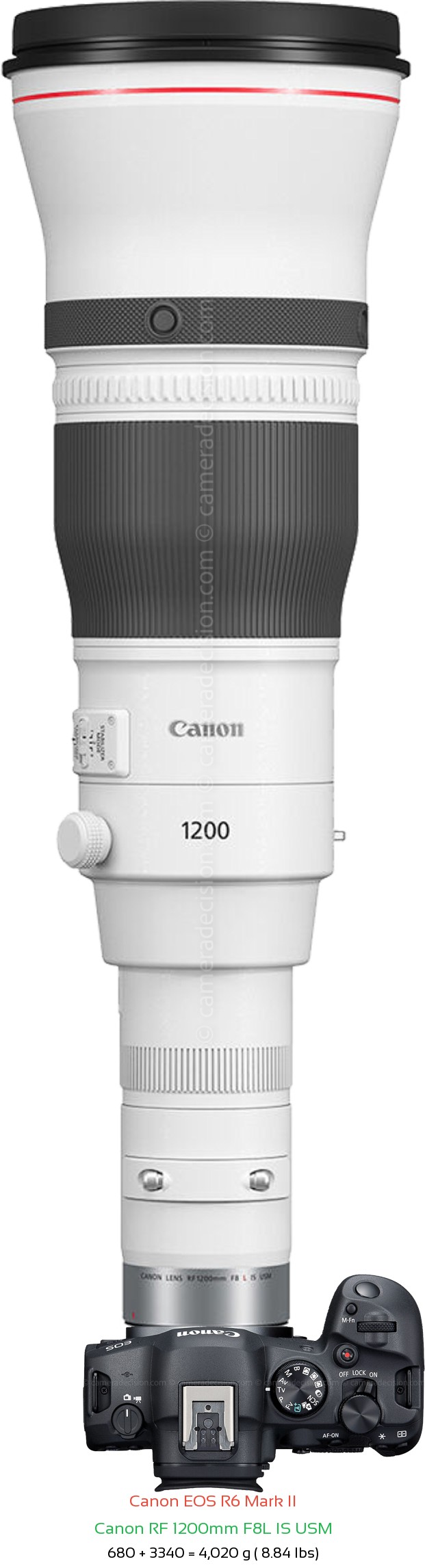 Canon R6 II with Canon RF 1200mm F8L Lens Size