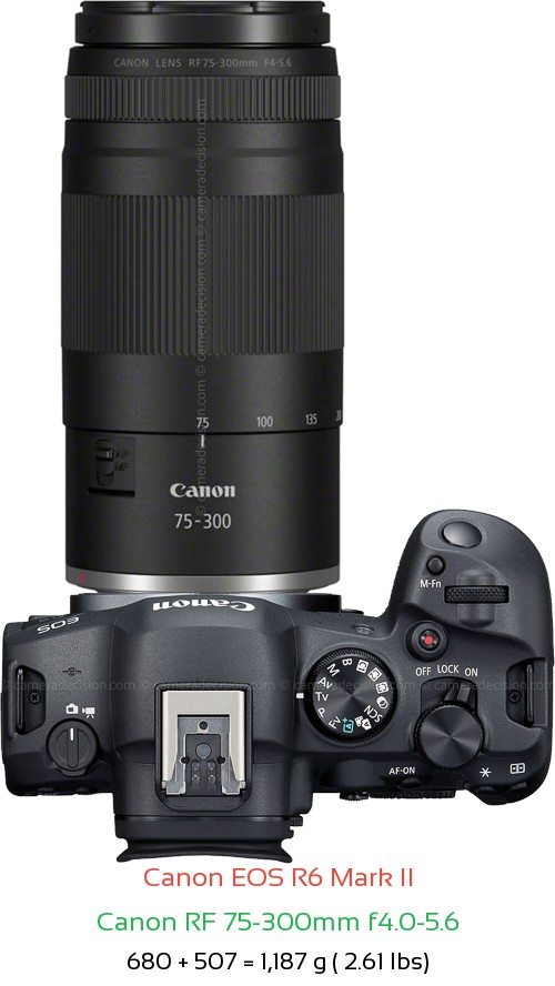 Canon R6 II with Canon RF 75-300mm f4.0-5.6 Lens Size