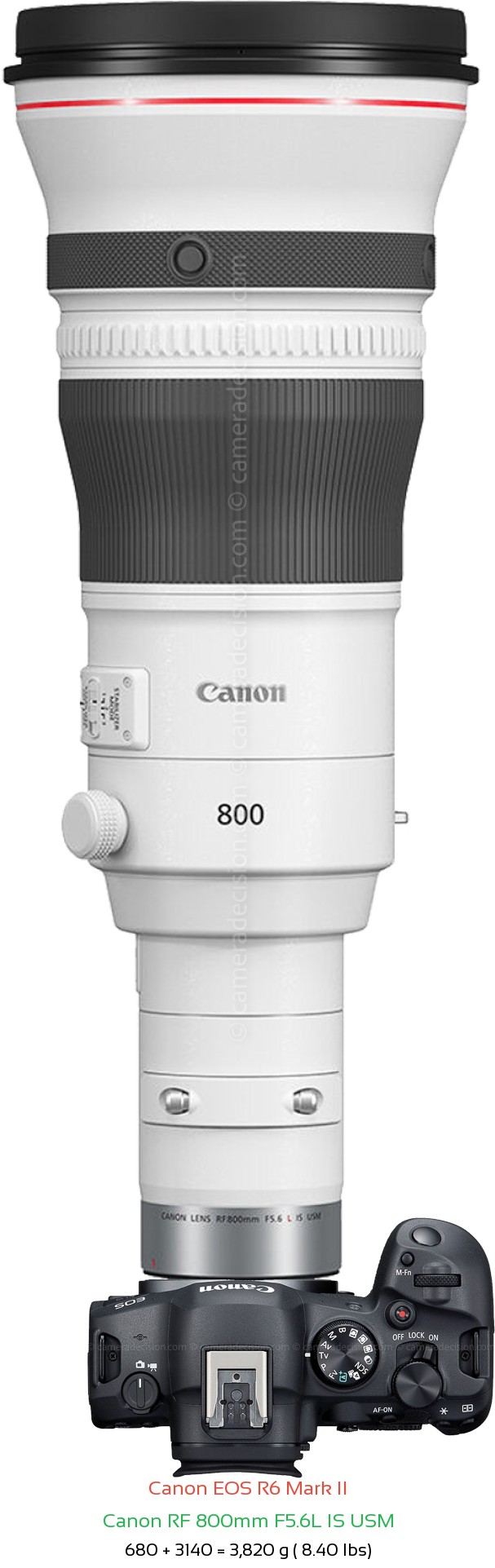 Canon R6 II with Canon RF 800mm F5.6L Lens Size