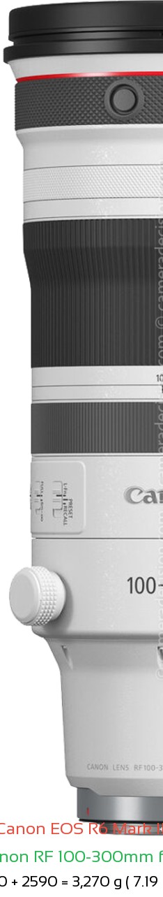 Canon R6 III with Canon RF 100-300mm f2.8 Lens Size