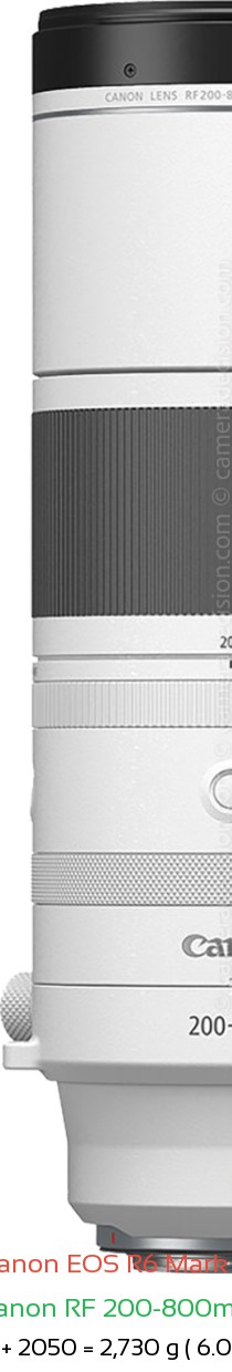 Canon R6 III with Canon RF 200-800mm Lens Size