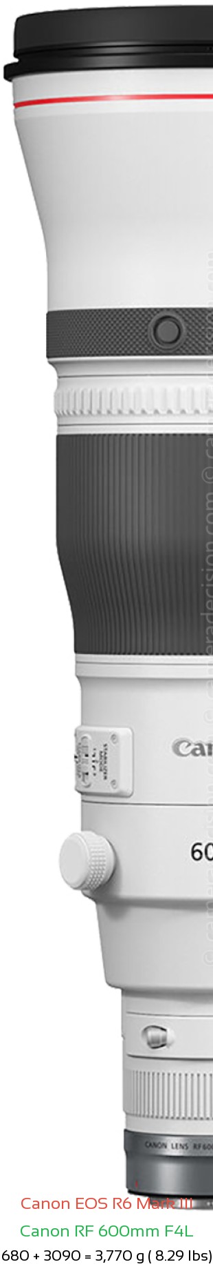 Canon R6 III with Canon RF 600mm F4L Lens Size