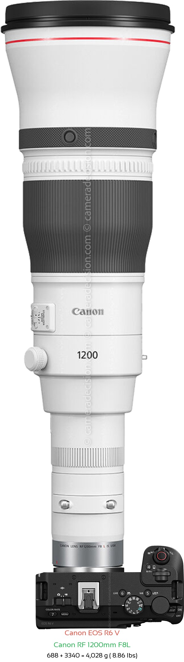 Canon R6 V with Canon RF 1200mm F8L Lens Size