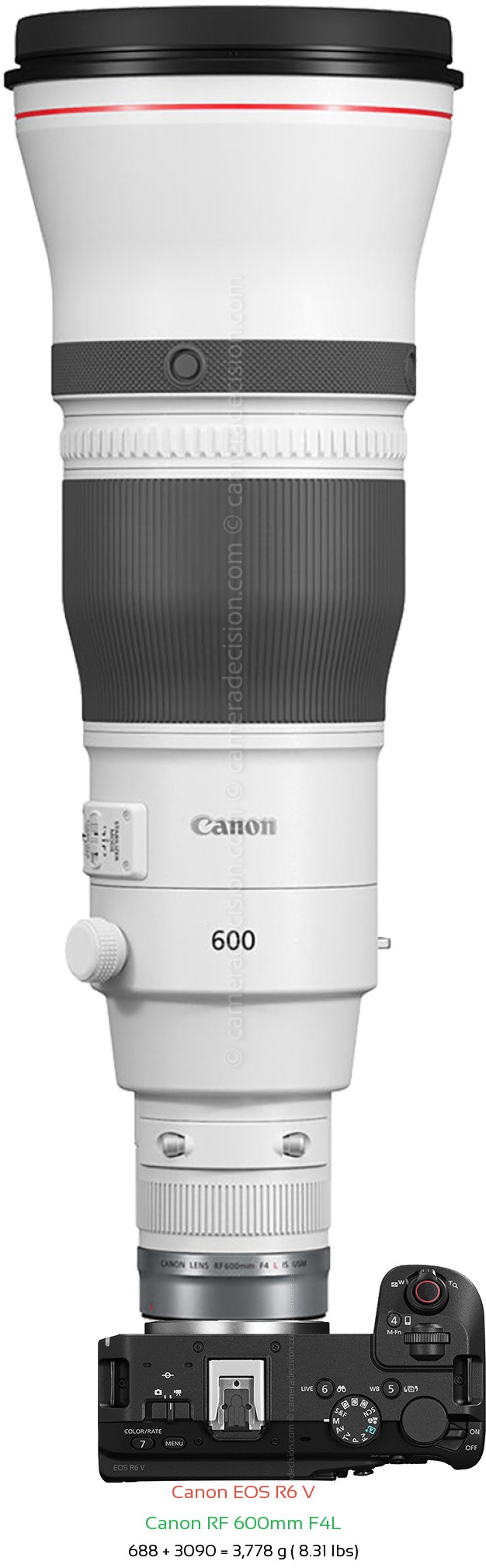 Canon R6 V with Canon RF 600mm F4L Lens Size