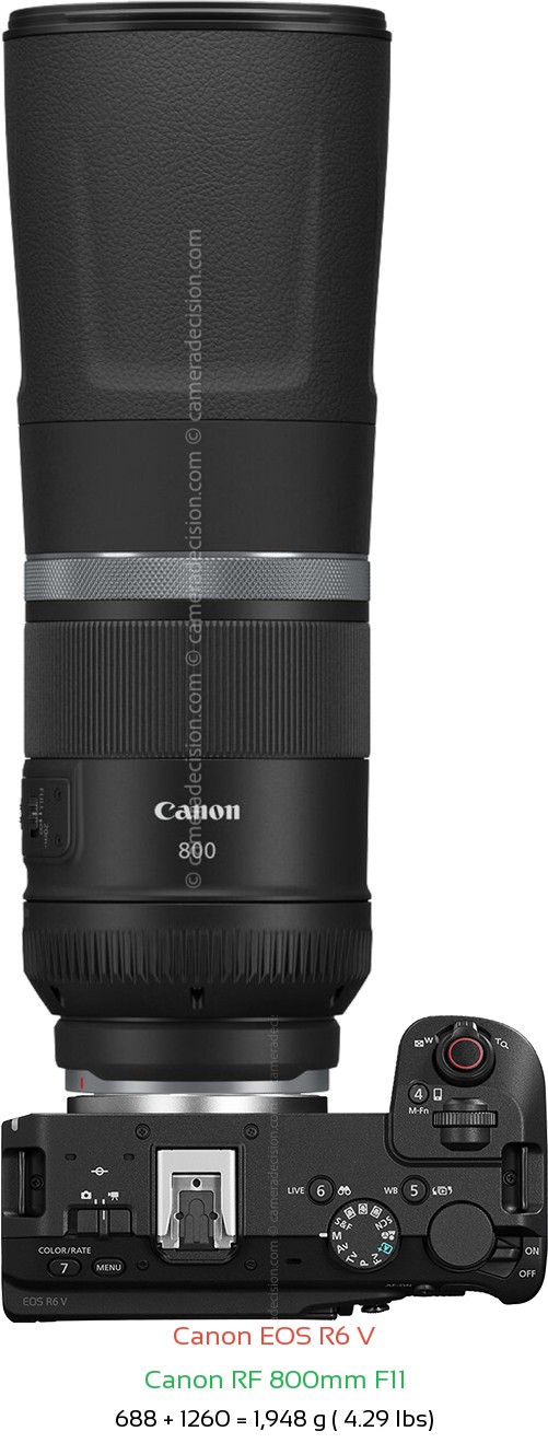 Canon R6 V with Canon RF 800mm F11 Lens Size