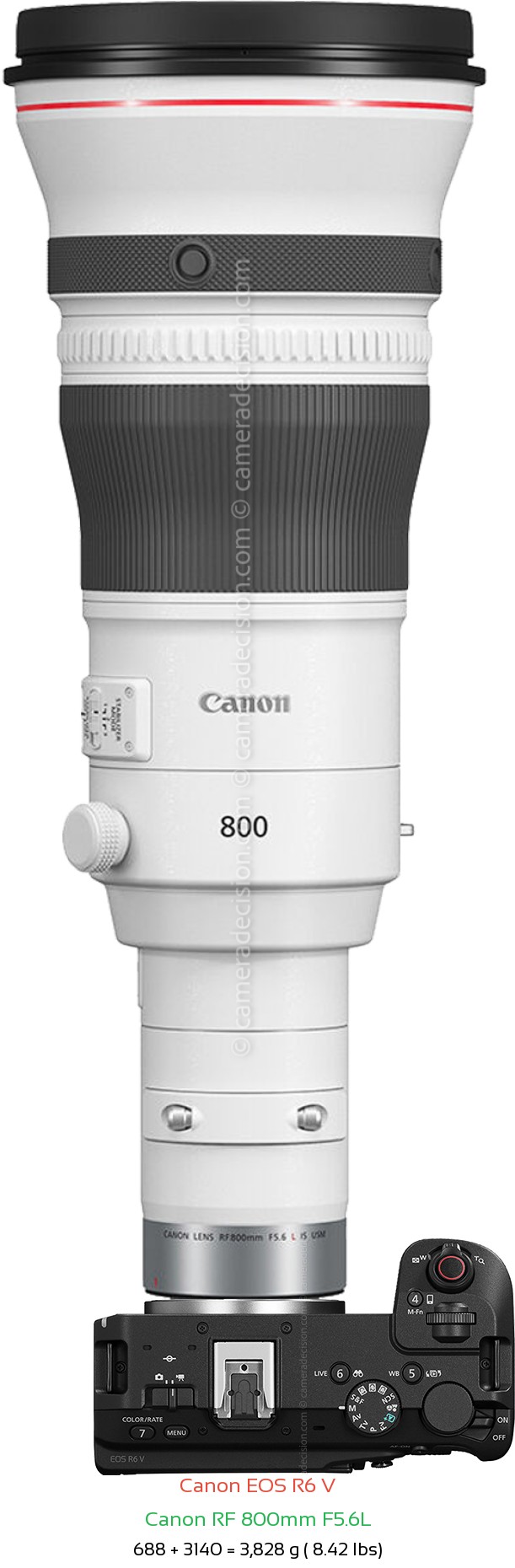 Canon R6 V with Canon RF 800mm F5.6L Lens Size