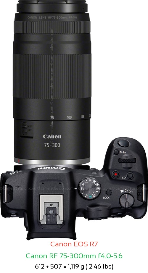 Canon R7 with Canon RF 75-300mm f4.0-5.6 Lens Size