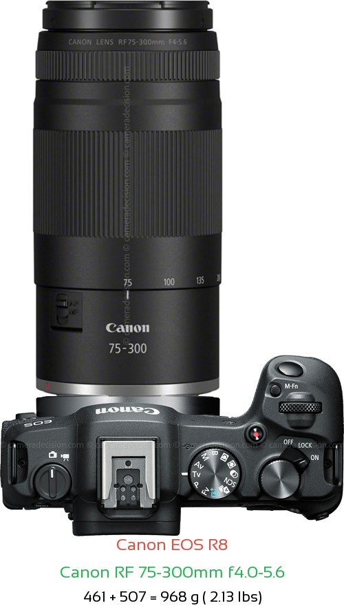 Canon R8 with Canon RF 75-300mm f4.0-5.6 Lens Size