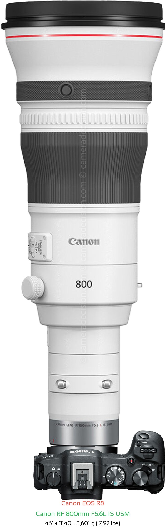 Canon R8 with Canon RF 800mm F5.6L Lens Size