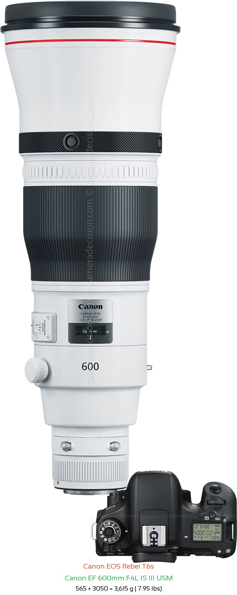 Canon T6s with Canon EF 600mm F4L IS III USM Lens Size