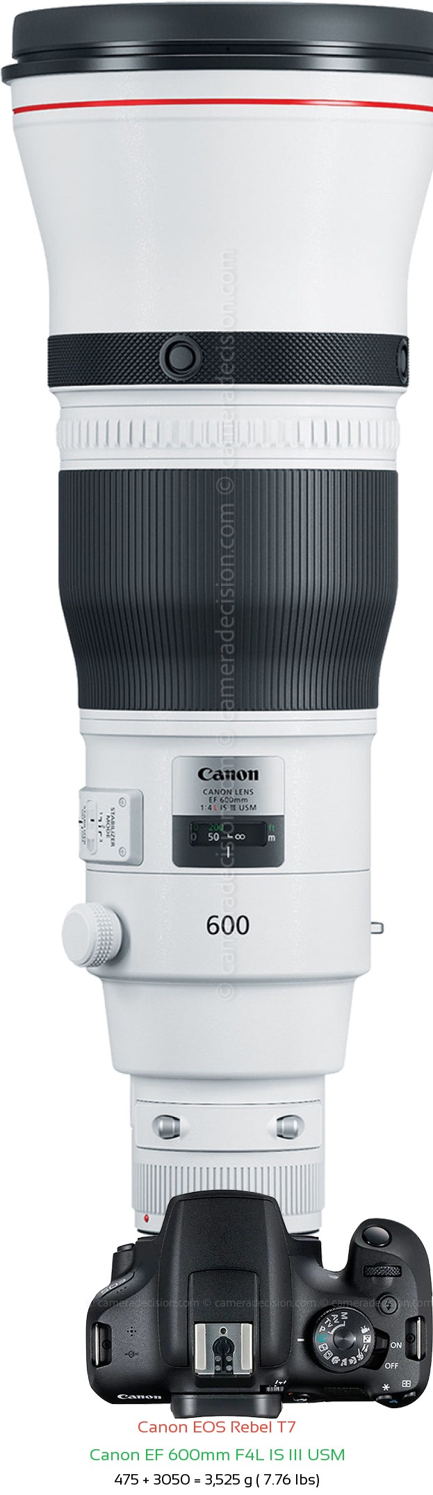 Canon T7 with Canon EF 600mm F4L IS III USM Lens Size