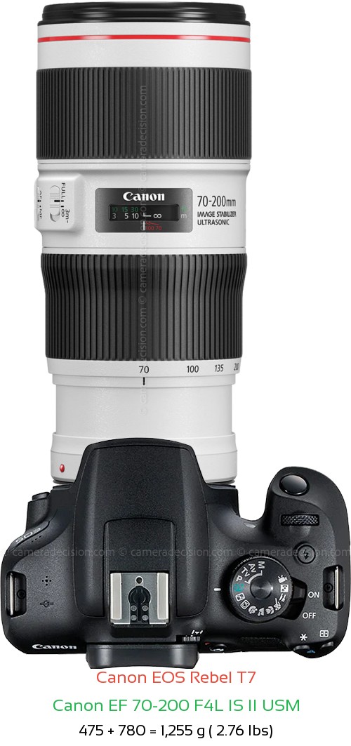 Canon T7 with Canon EF 70-200 F4L IS II USM Lens Size