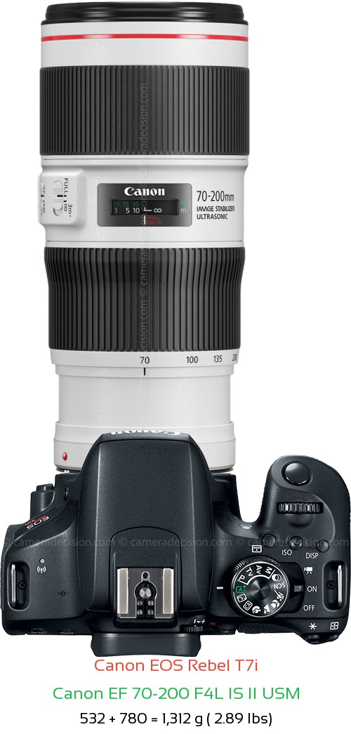 Canon T7i with Canon EF 70-200 F4L IS II USM Lens Size