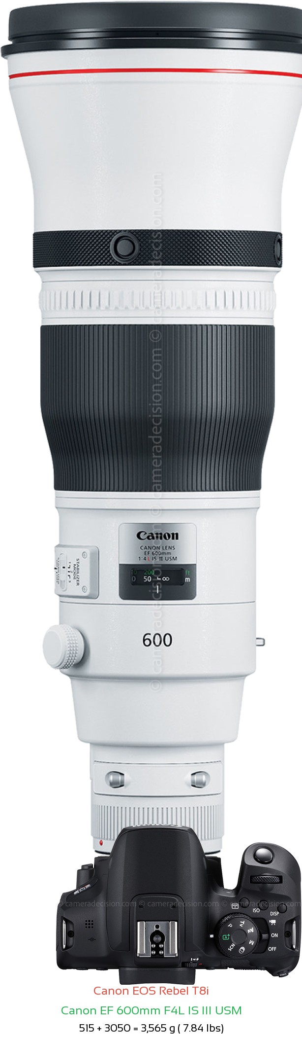 Canon T8i with Canon EF 600mm F4L IS III USM Lens Size