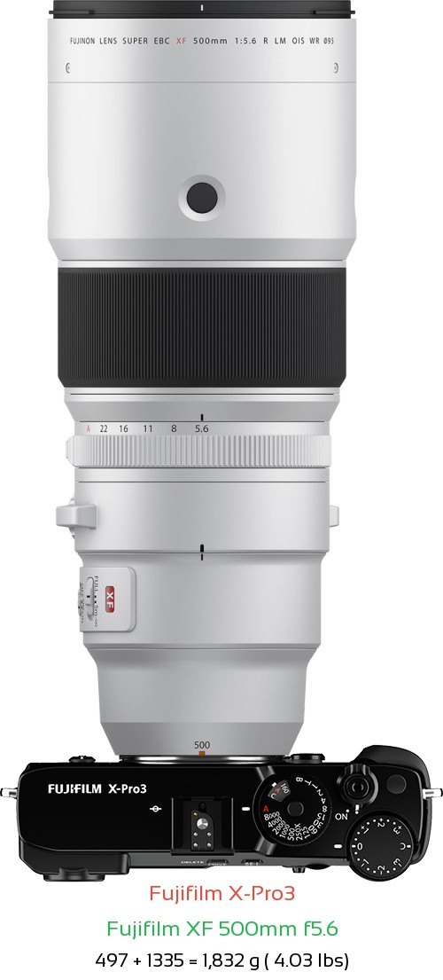 Fujifilm X-Pro3 with Fujifilm XF 500mm f5.6 Lens Size